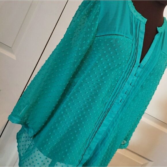 Romy Sheer Green Long Sleeve Blouse - Picture 4 of 7